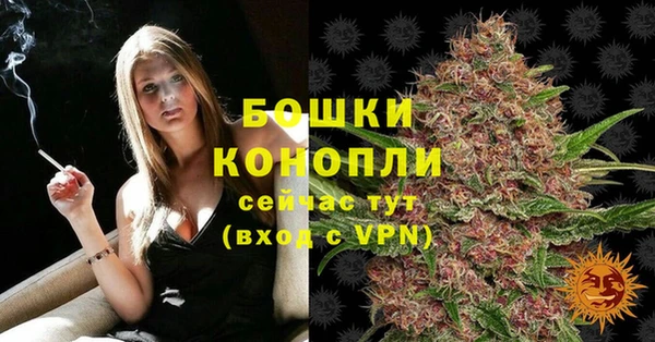твердый Осташков