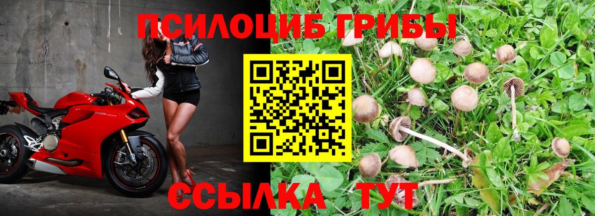 Галлюциногенные грибы MAGIC MUSHROOMS  Галлюциногенные грибы Psilocybe  Вход с VPN  Сорочинск 